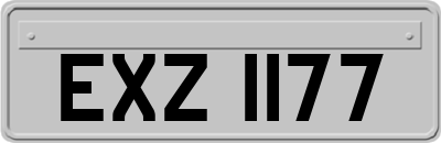 EXZ1177