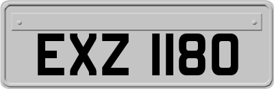 EXZ1180