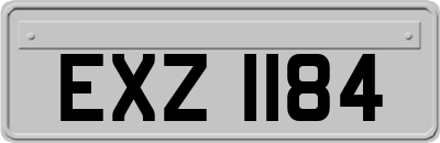 EXZ1184