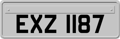 EXZ1187
