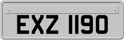 EXZ1190