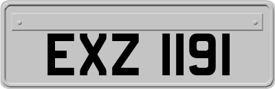 EXZ1191