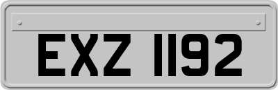 EXZ1192