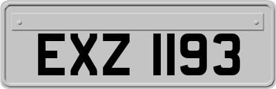 EXZ1193