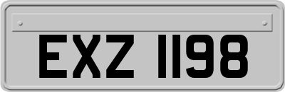 EXZ1198