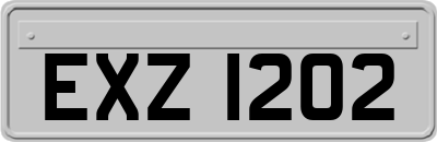 EXZ1202