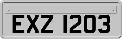 EXZ1203