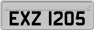 EXZ1205