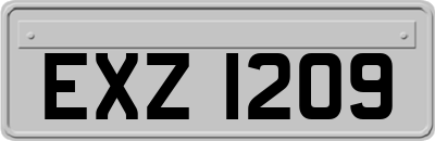 EXZ1209
