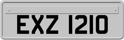 EXZ1210
