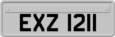 EXZ1211