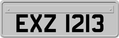 EXZ1213