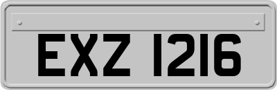 EXZ1216