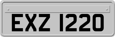 EXZ1220