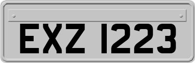 EXZ1223
