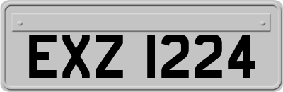 EXZ1224