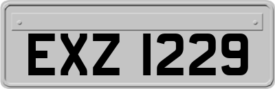 EXZ1229