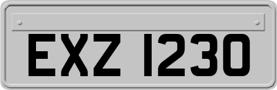 EXZ1230