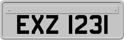 EXZ1231