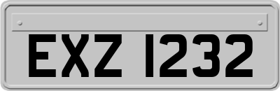 EXZ1232