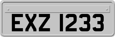EXZ1233
