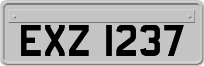 EXZ1237