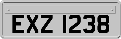 EXZ1238