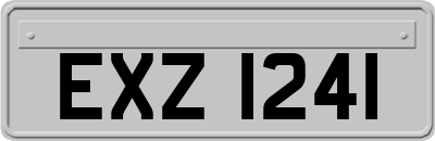 EXZ1241