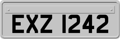 EXZ1242