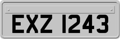 EXZ1243
