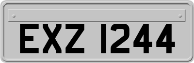 EXZ1244