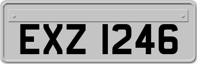 EXZ1246