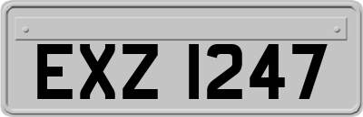 EXZ1247