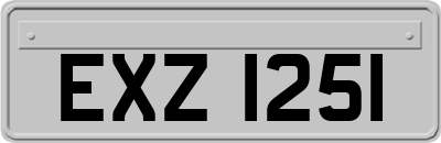 EXZ1251