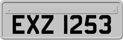 EXZ1253