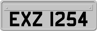 EXZ1254