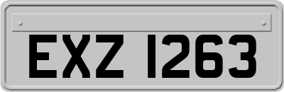 EXZ1263