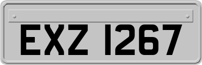 EXZ1267