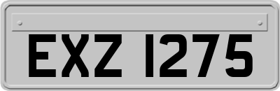 EXZ1275