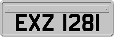 EXZ1281