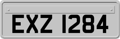 EXZ1284