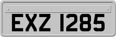 EXZ1285