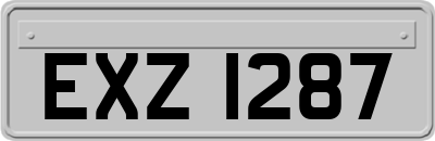 EXZ1287