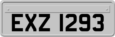 EXZ1293