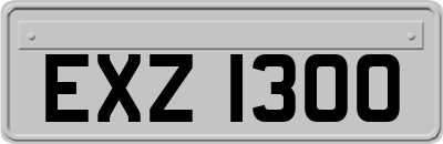 EXZ1300