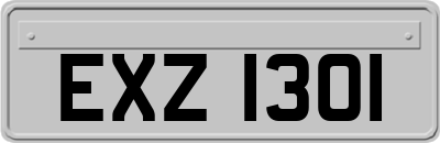 EXZ1301