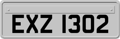 EXZ1302