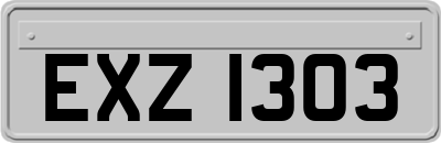 EXZ1303