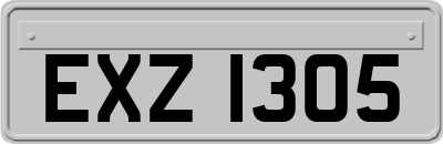 EXZ1305