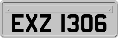 EXZ1306
